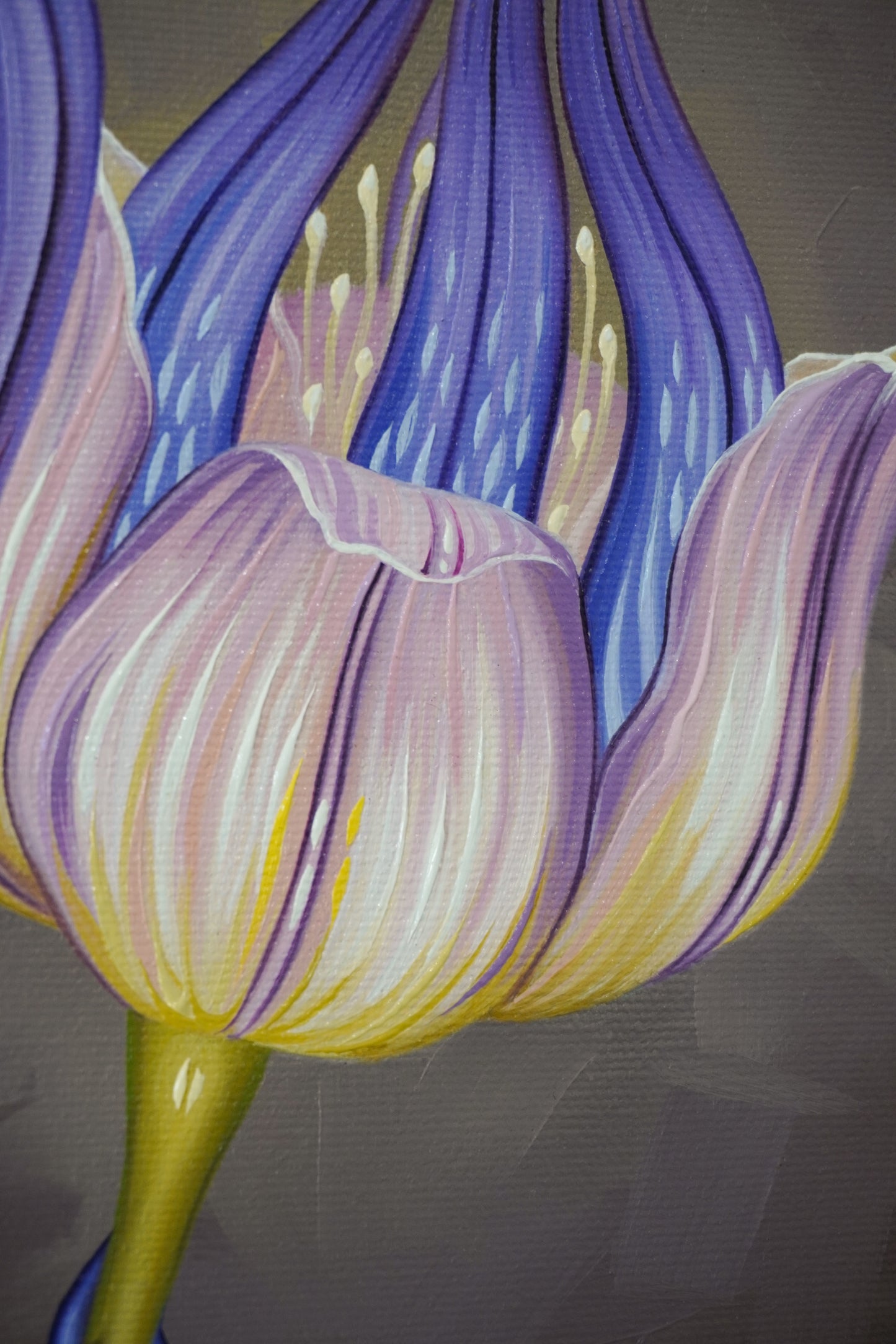 Dream Study No. 1