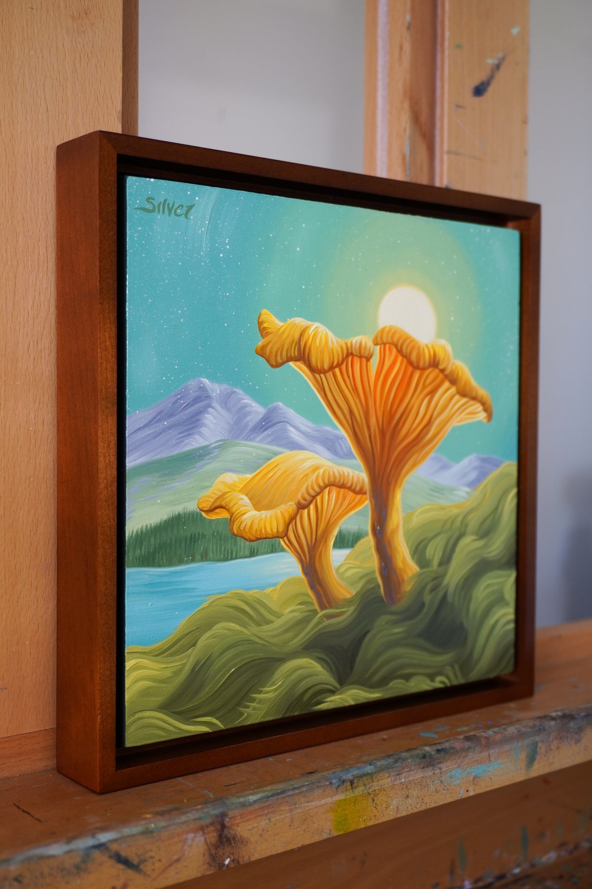 Sunny Chanterelles