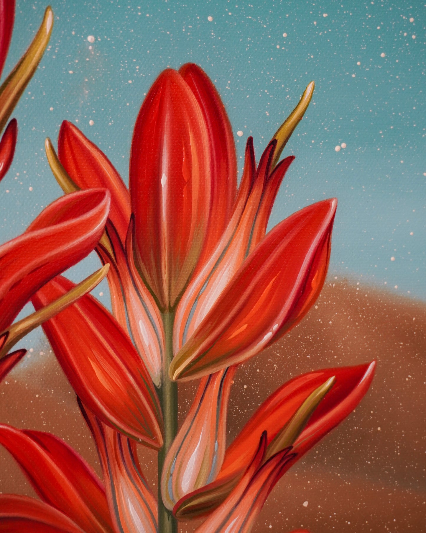 Wildflower Study No. 1