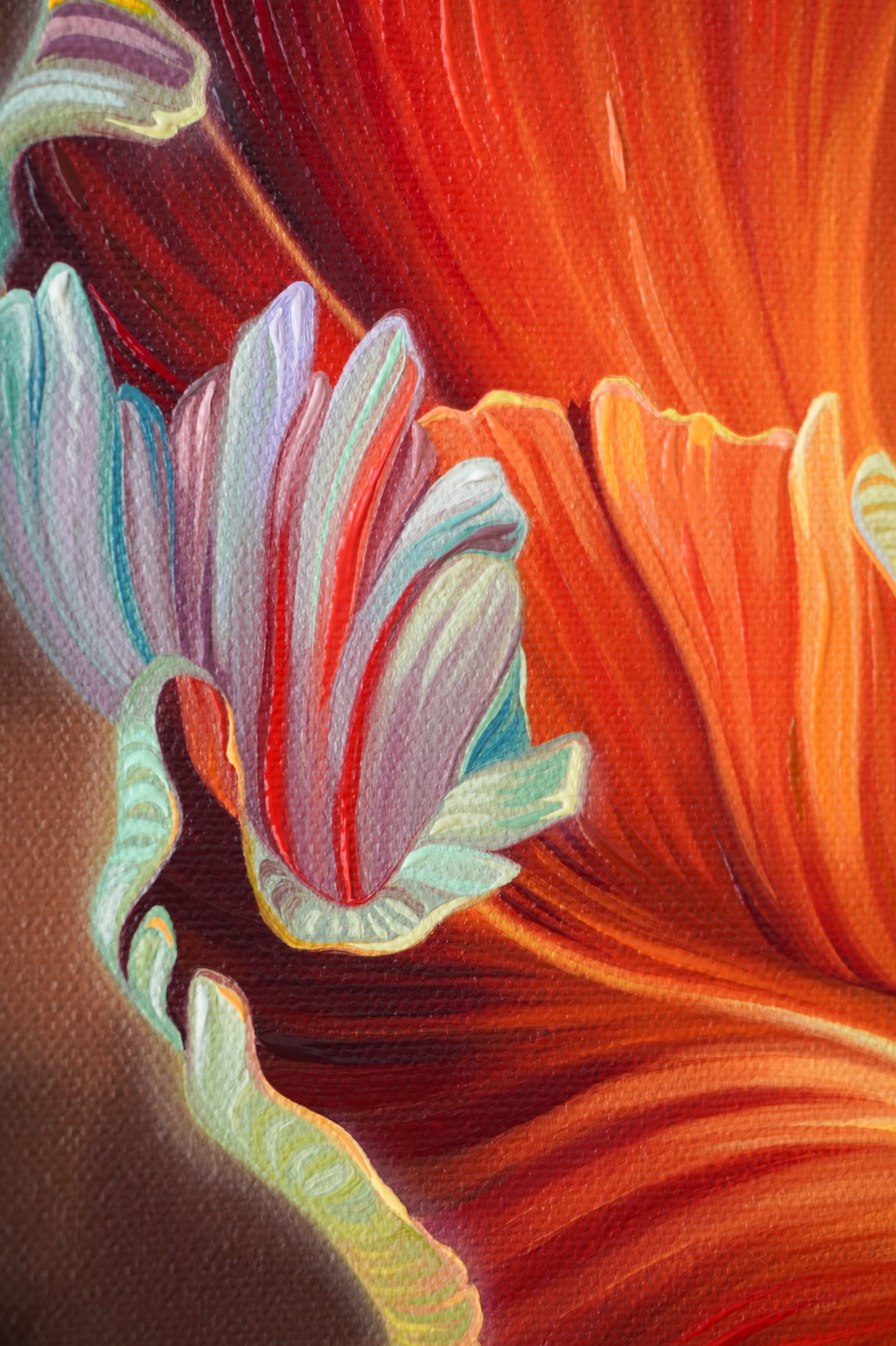 Rainbow Tulips