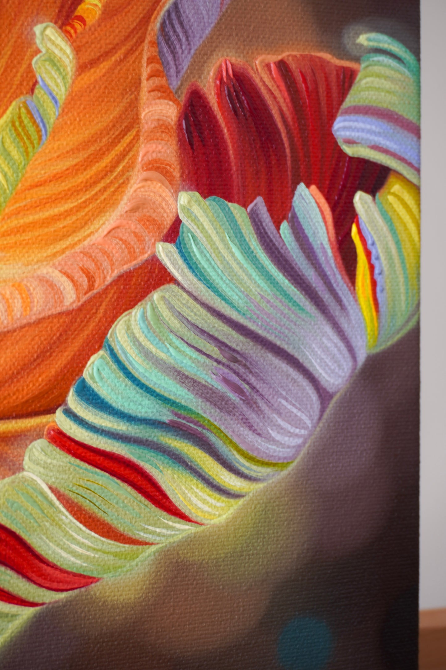 Rainbow Tulips