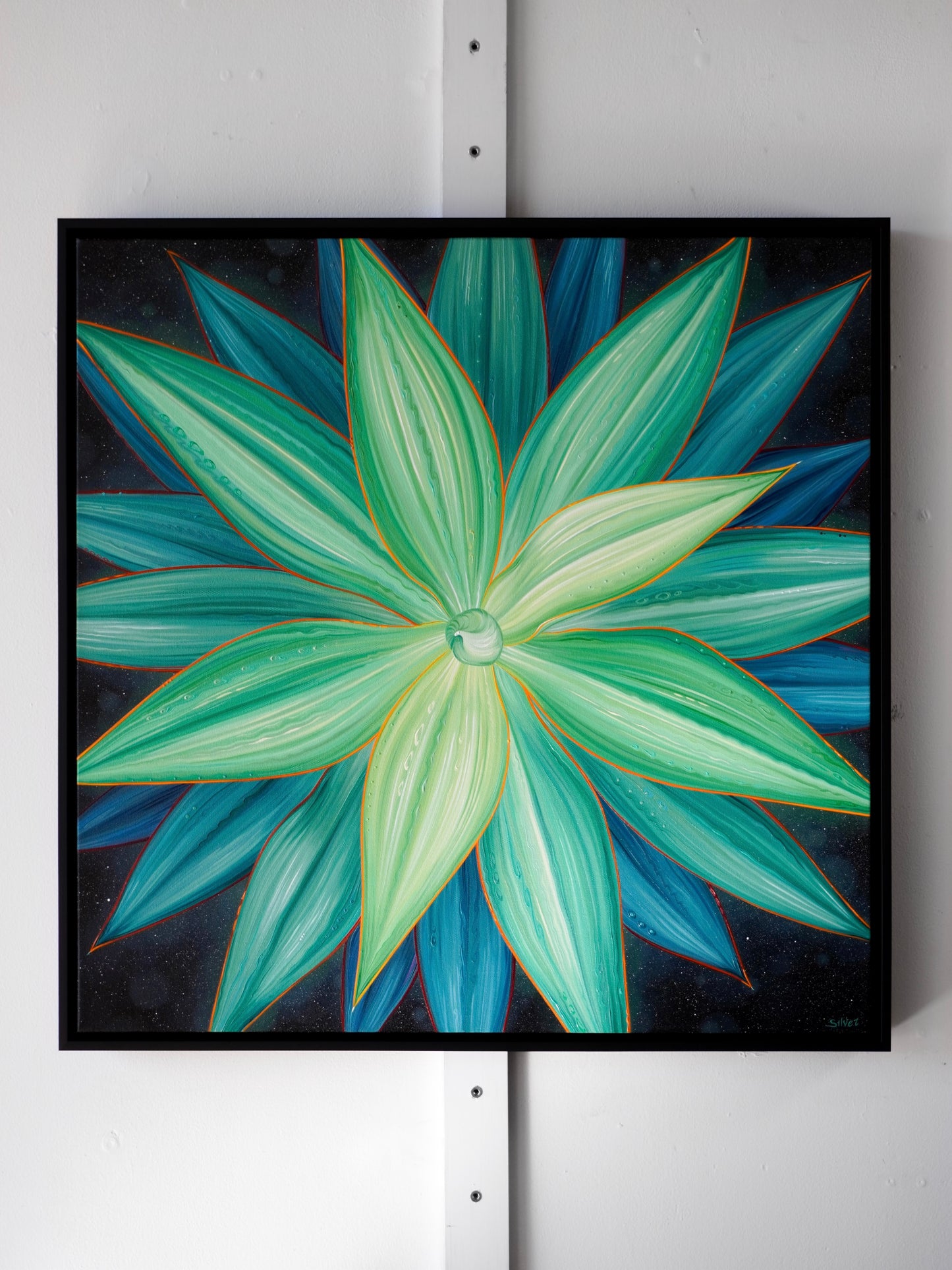 Desert Star