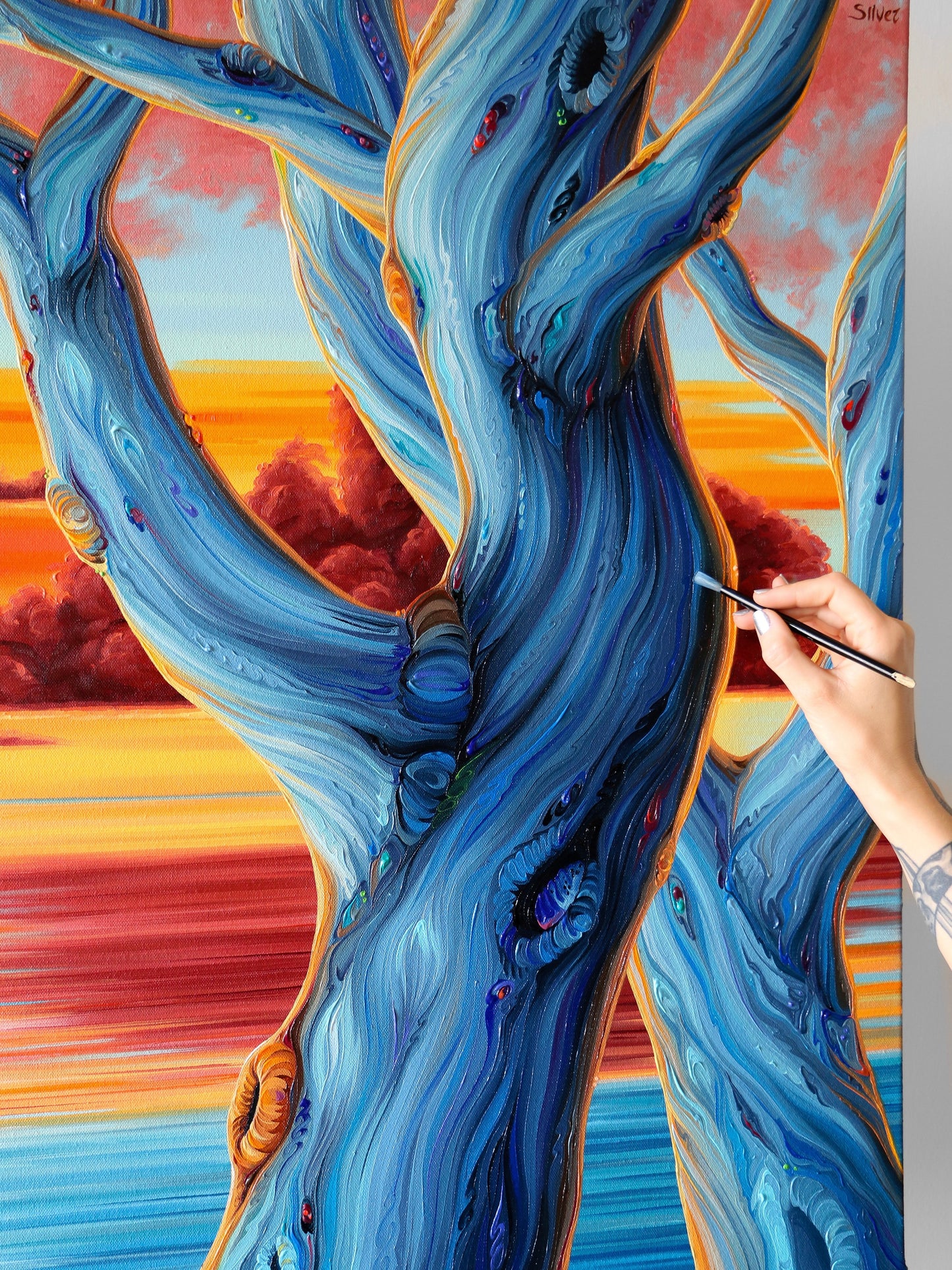 Sunset Through Twisted Trees