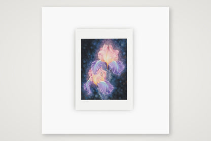unnamed 1 — 12×12" Print only