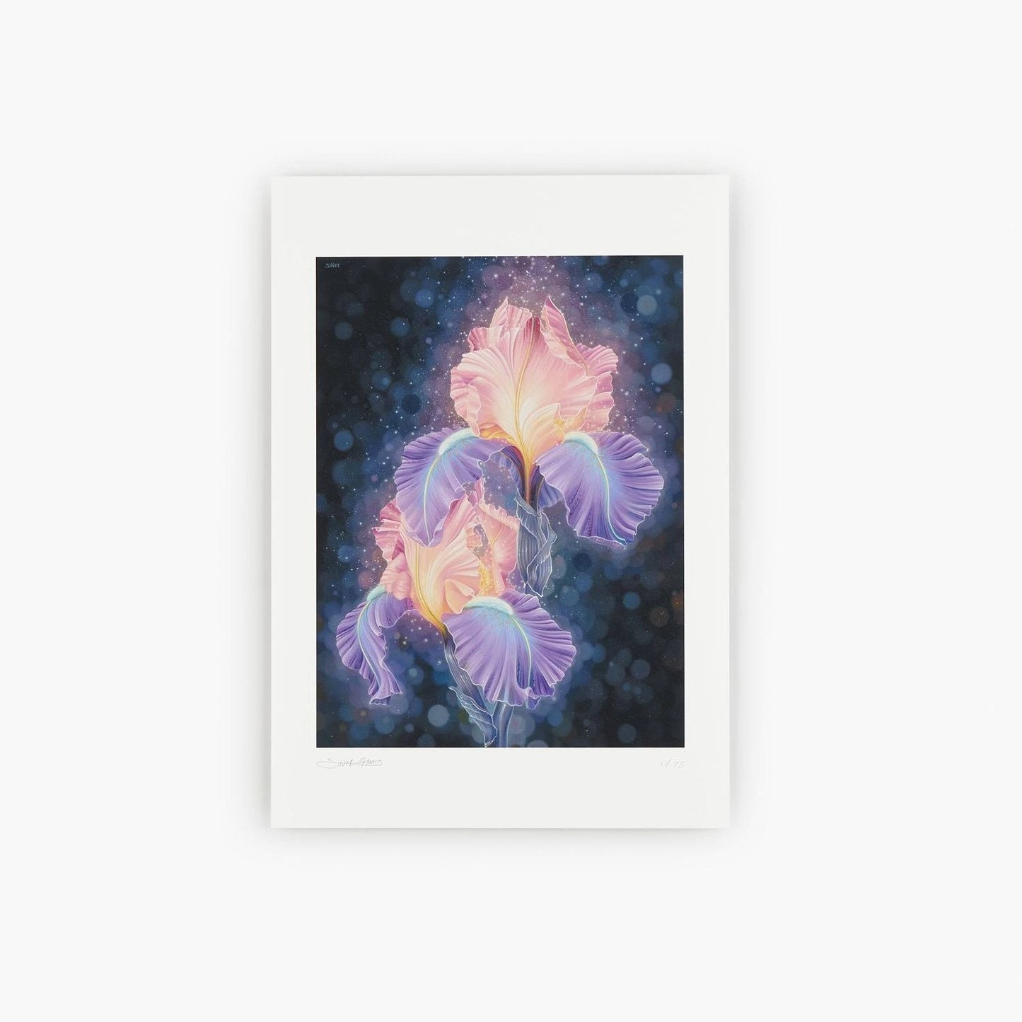 unnamed 1