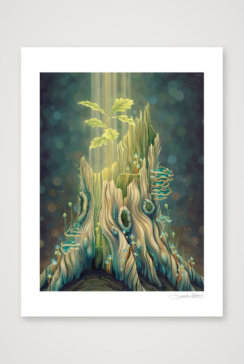 A Living Memory — 12×16" Print only