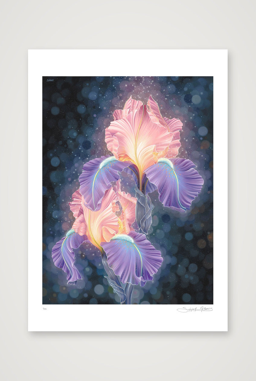 Dawn — A3 (12×17") Print only