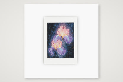 unnamed 1 — 20×20" Print only