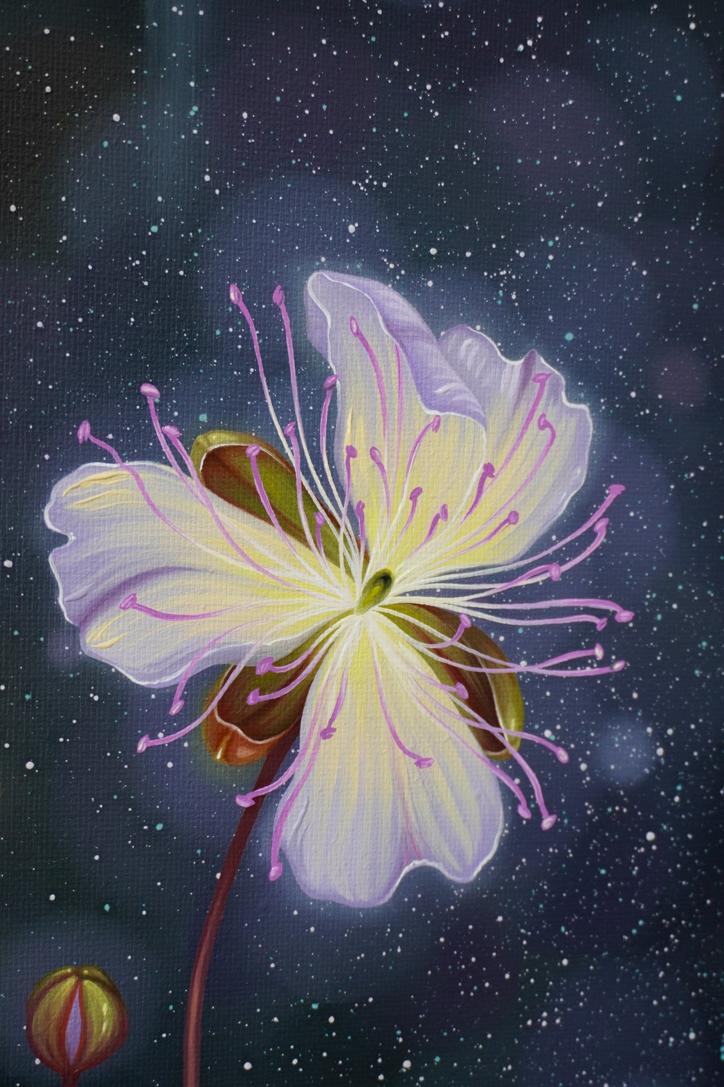 Renewal