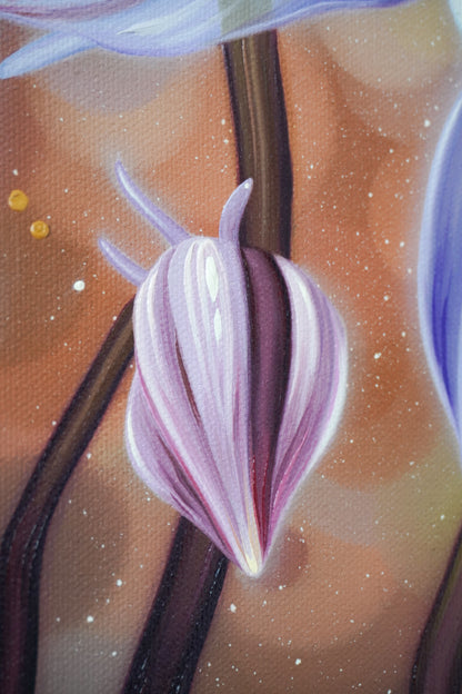 Mariposa