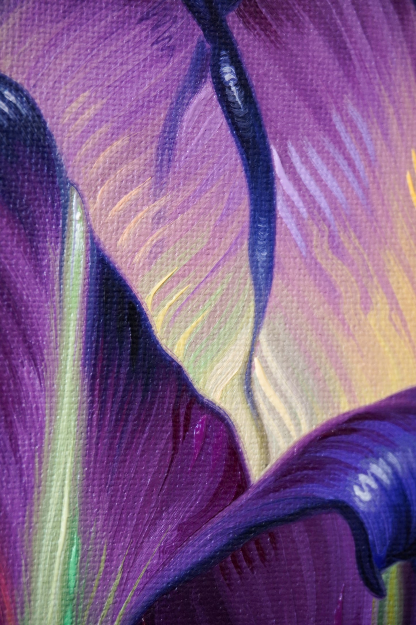 Violet