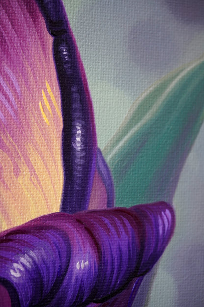 Violet