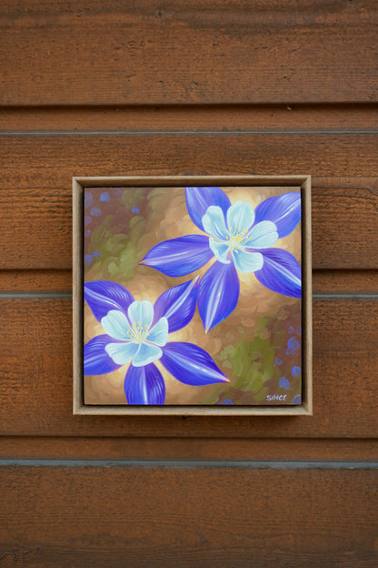 Columbines