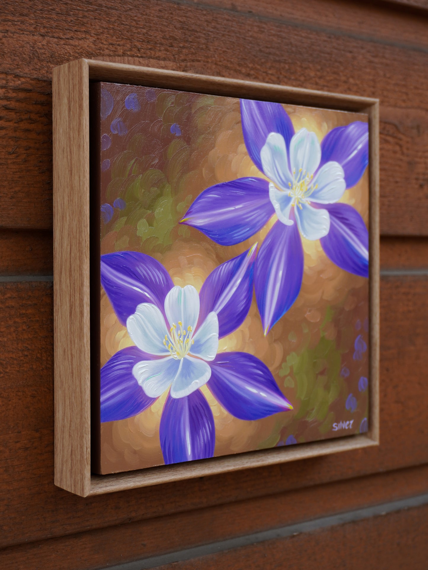 Columbines