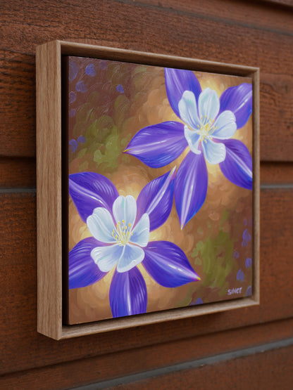 Columbines