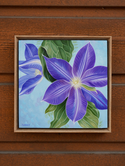 Purple Clematis