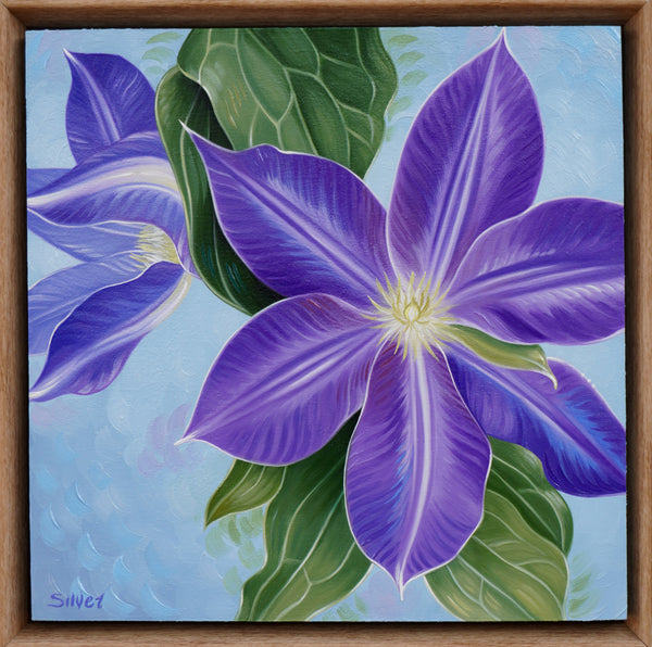 Purple Clematis