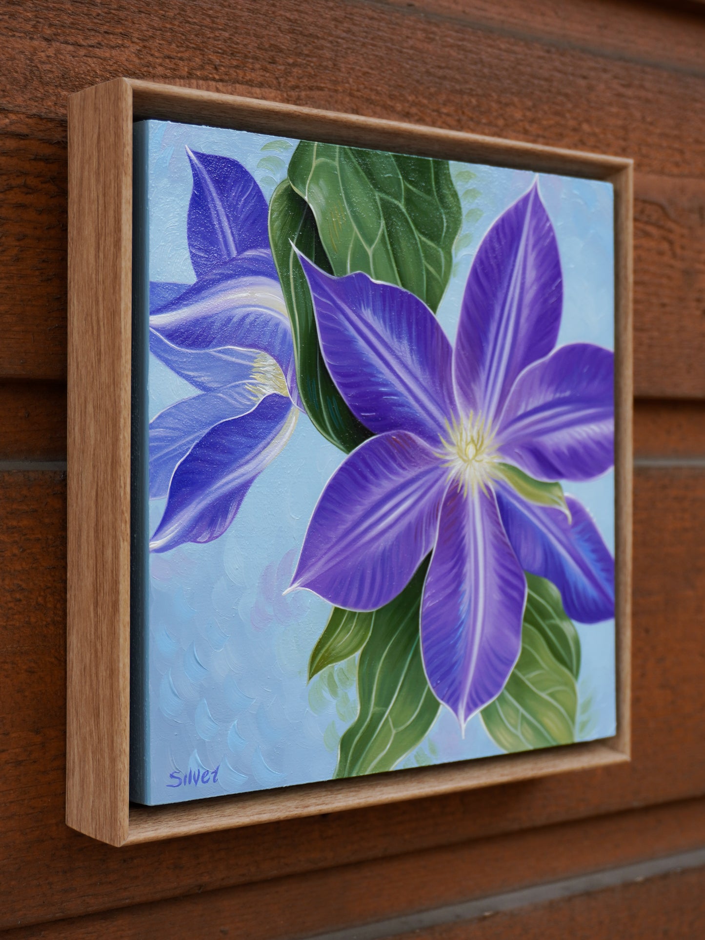 Purple Clematis