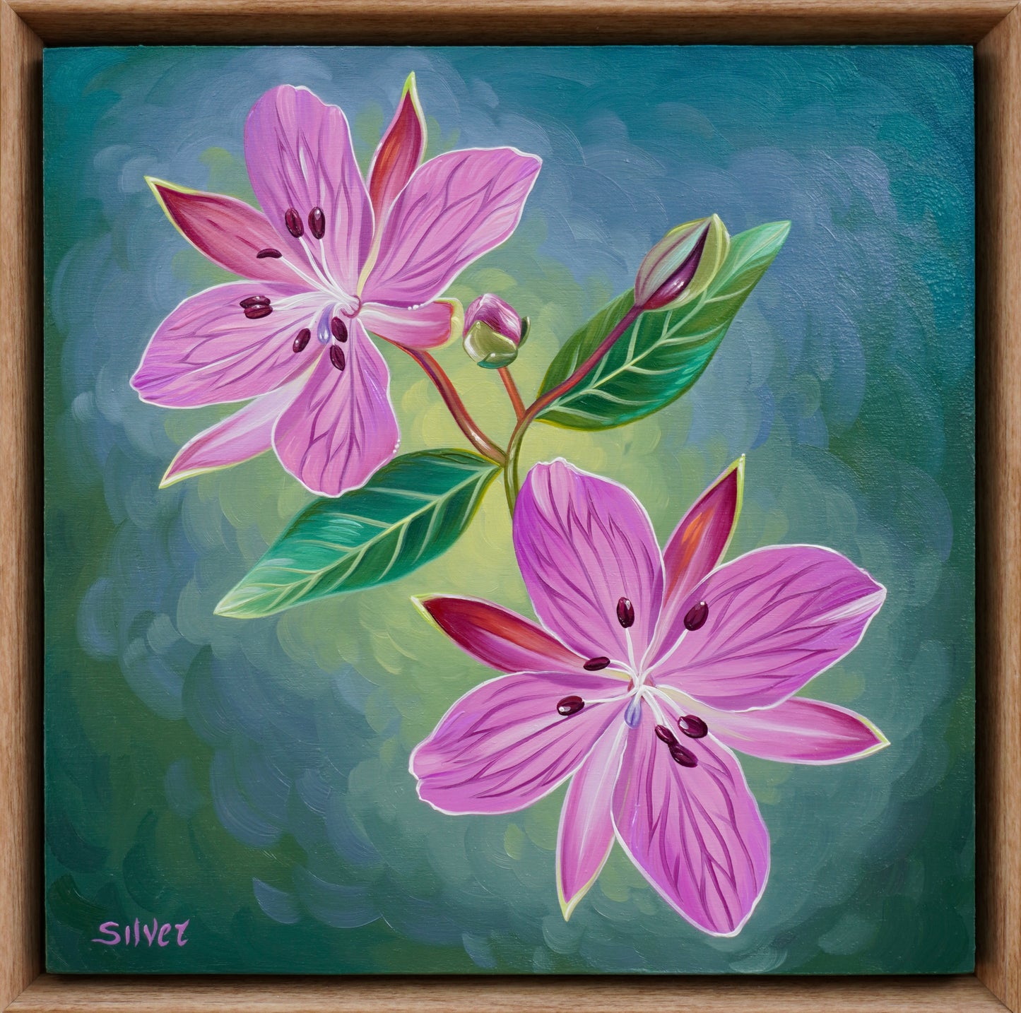 River Beauty Willowherb
