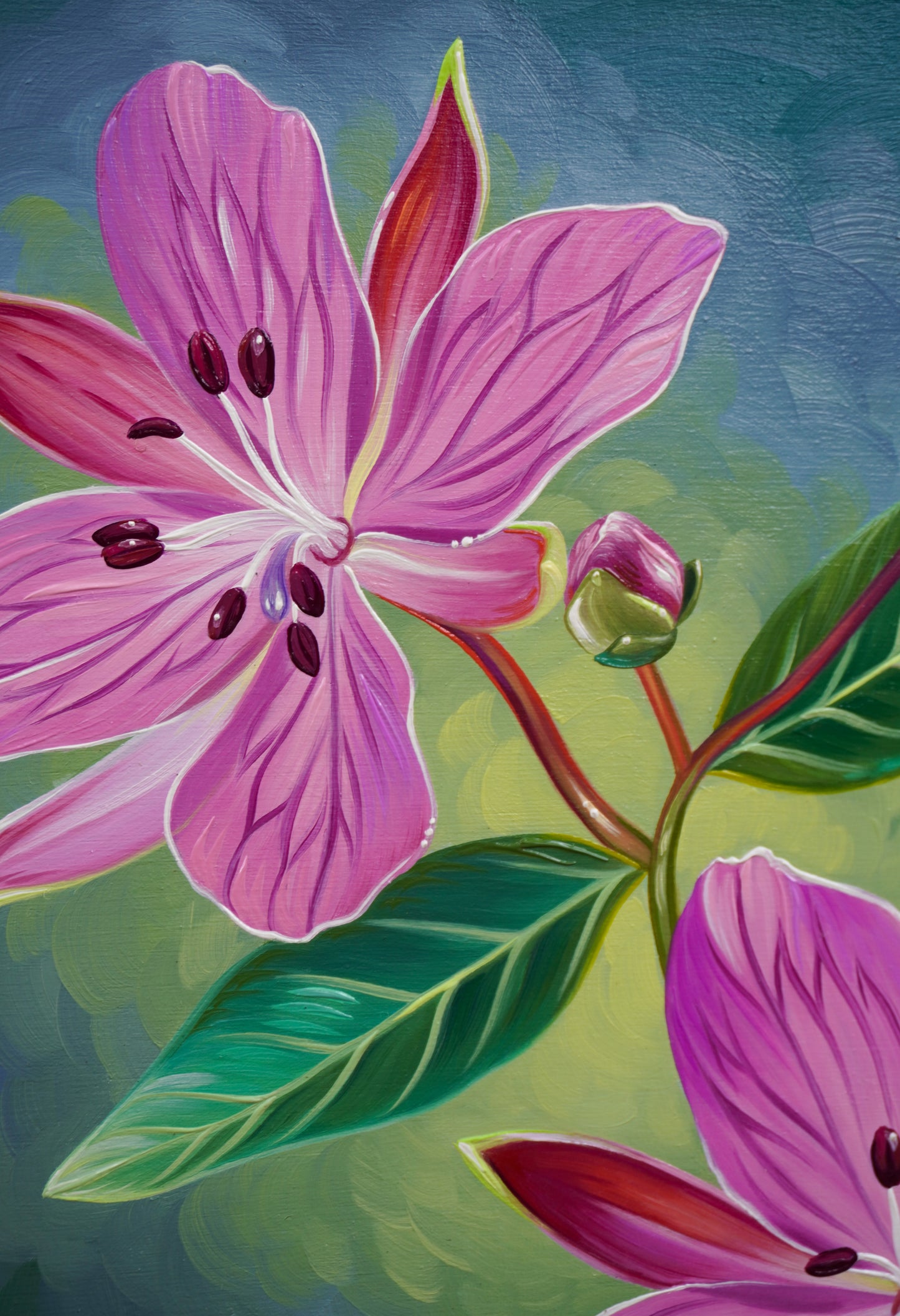 River Beauty Willowherb