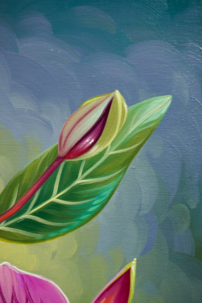 River Beauty Willowherb