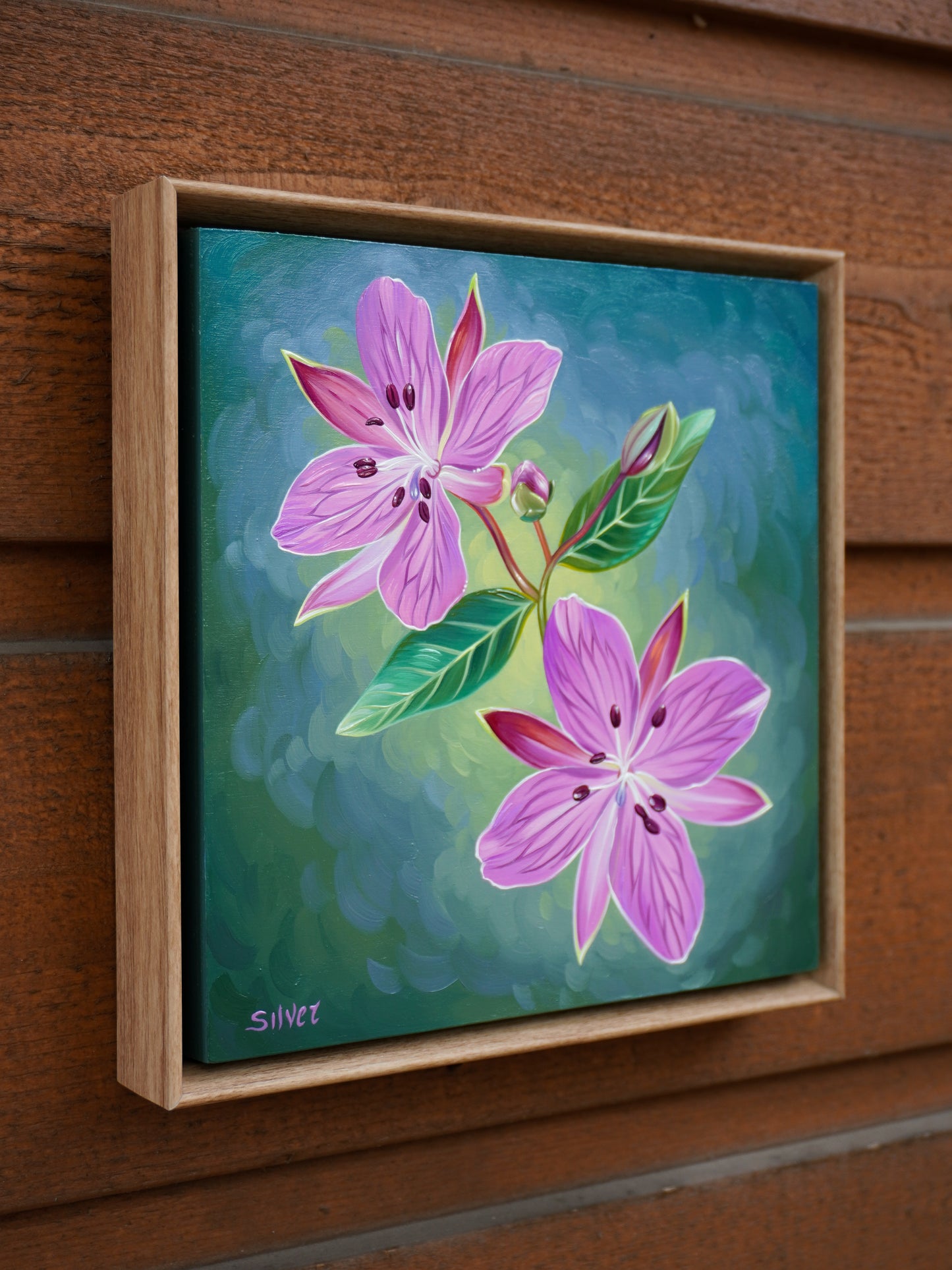River Beauty Willowherb