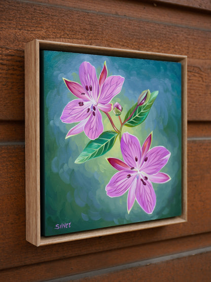 River Beauty Willowherb