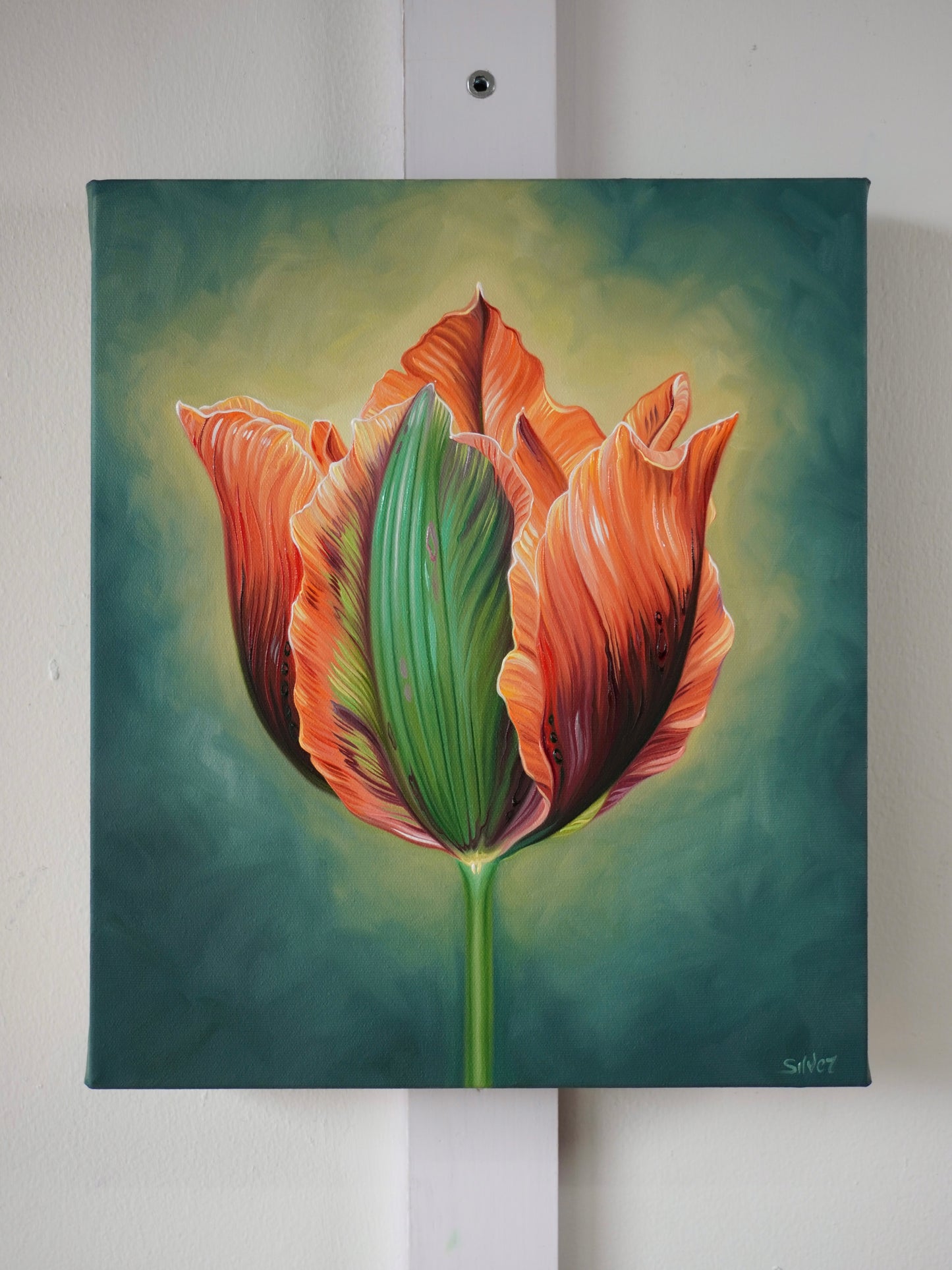 Tulip Study No. 1