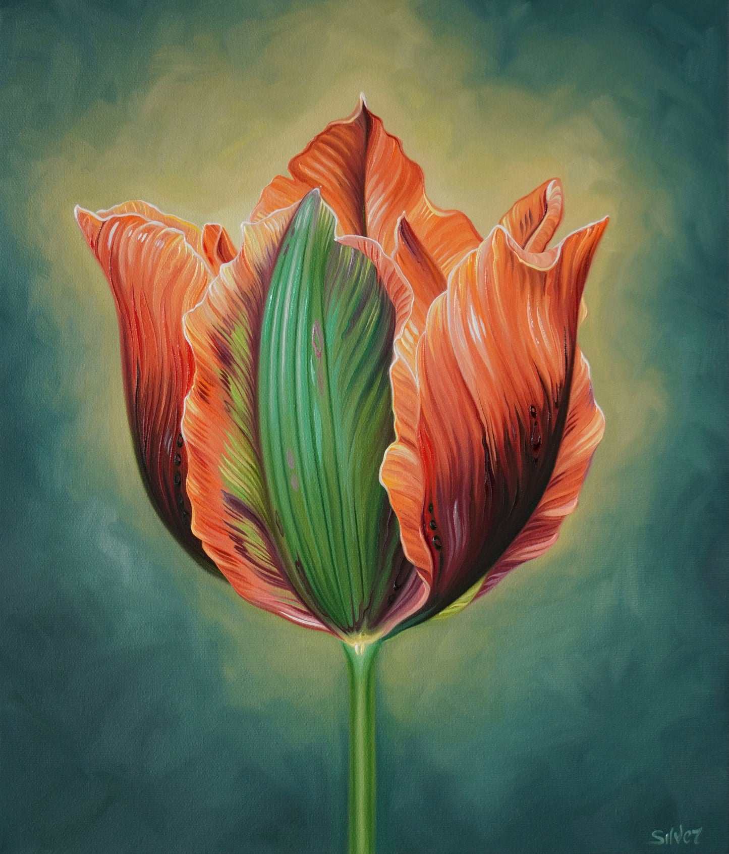 Tulip Study No. 1