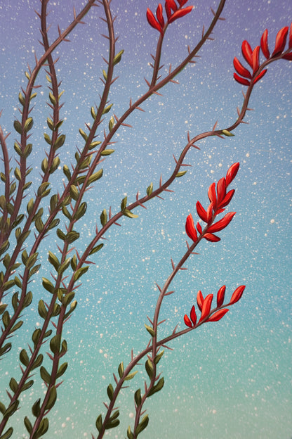 Ocotillo Bloom