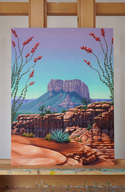 Ocotillo Bloom