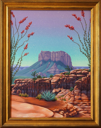 Ocotillo Bloom