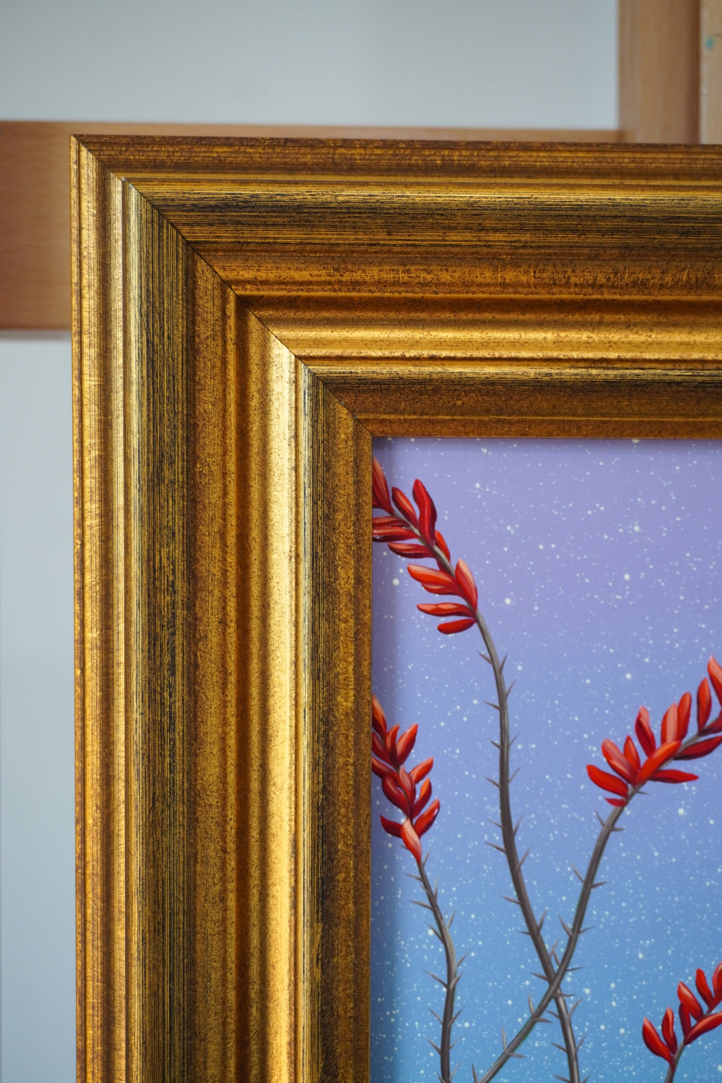 Ocotillo Bloom