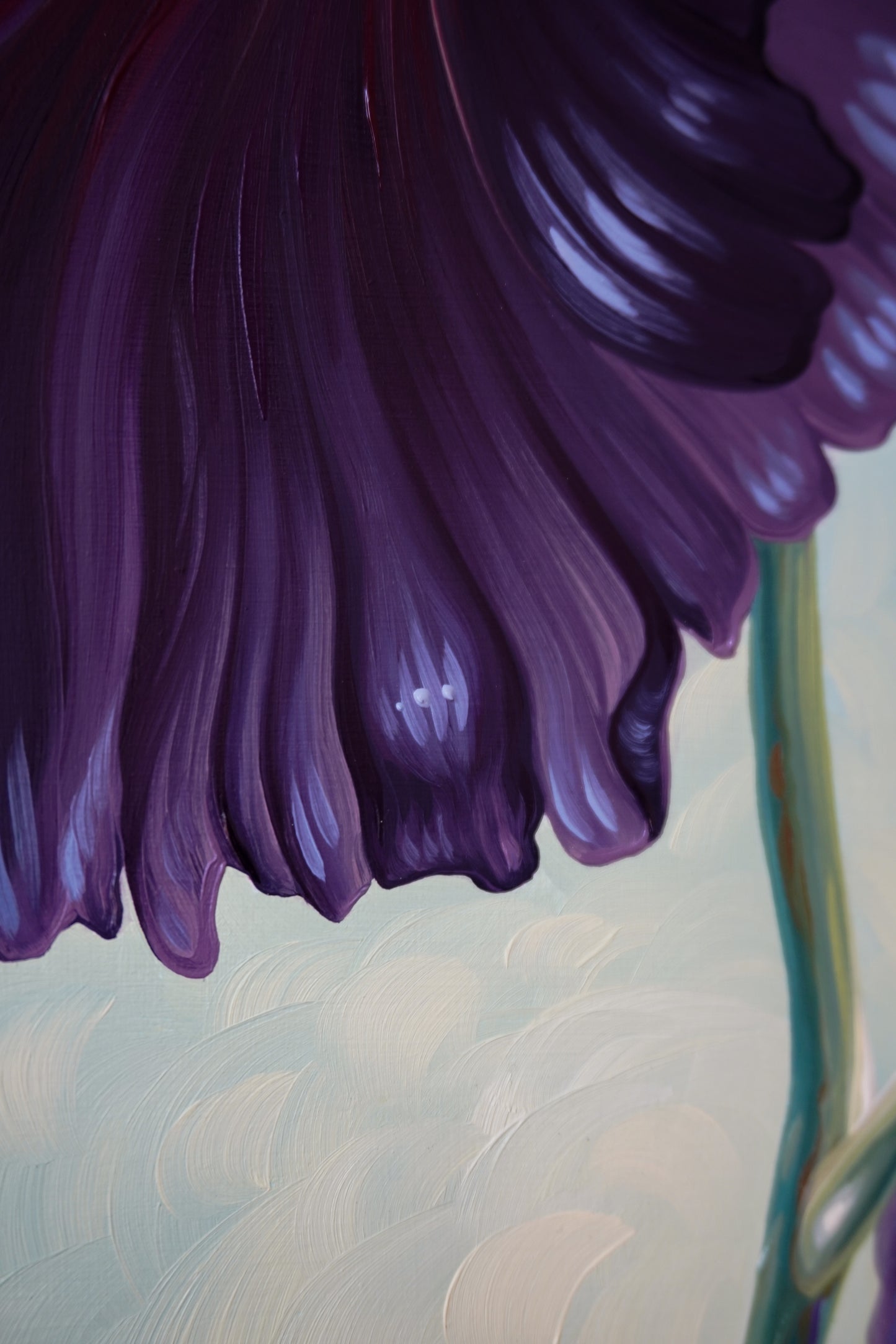 Black Hollyhocks