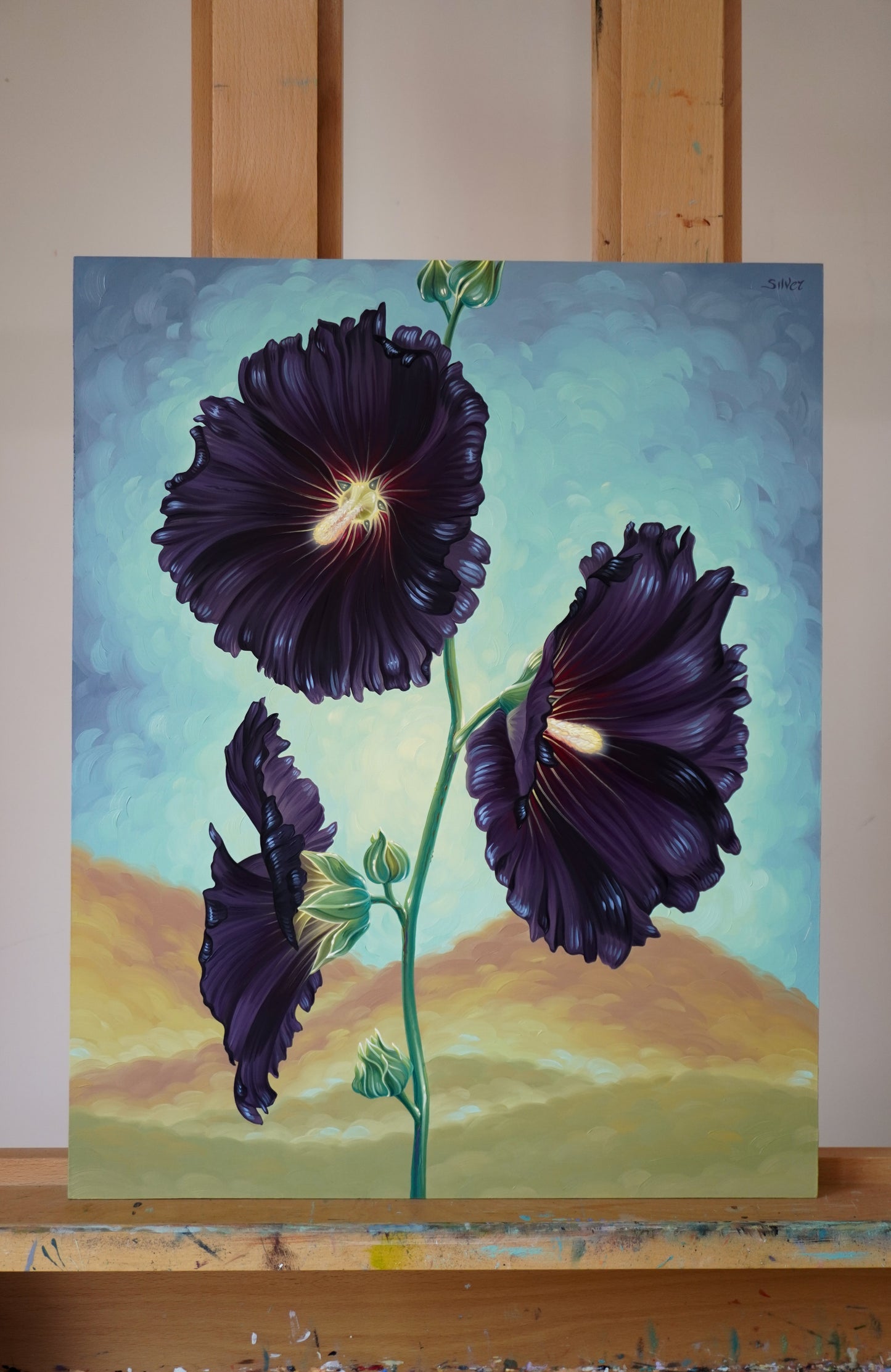 Black Hollyhocks