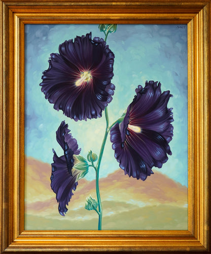 Black Hollyhocks