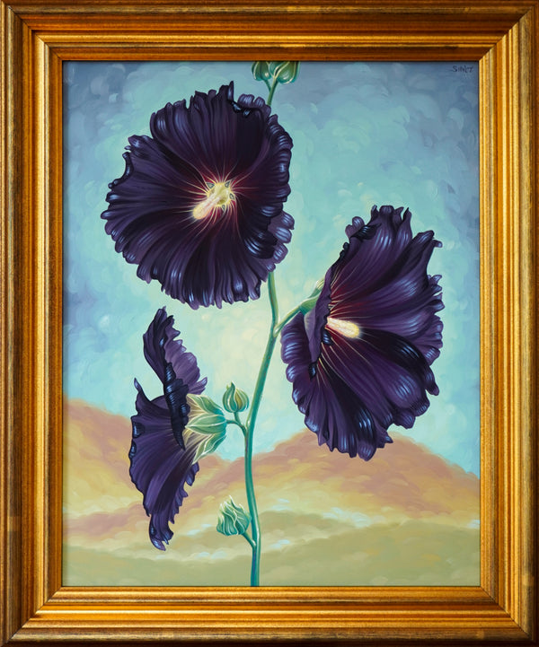 Black Hollyhocks