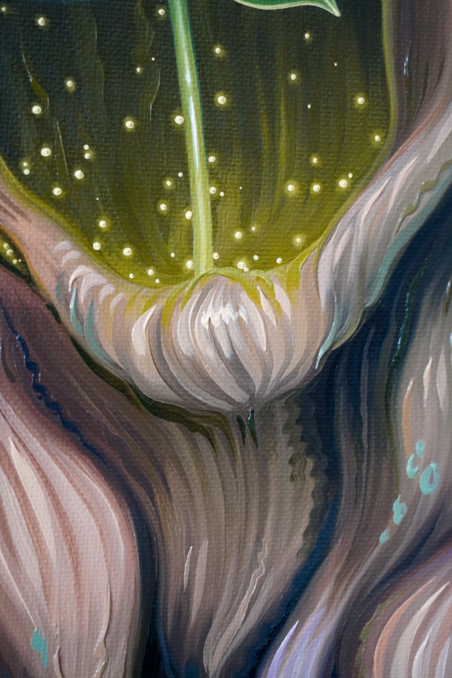 Light in the Hollow