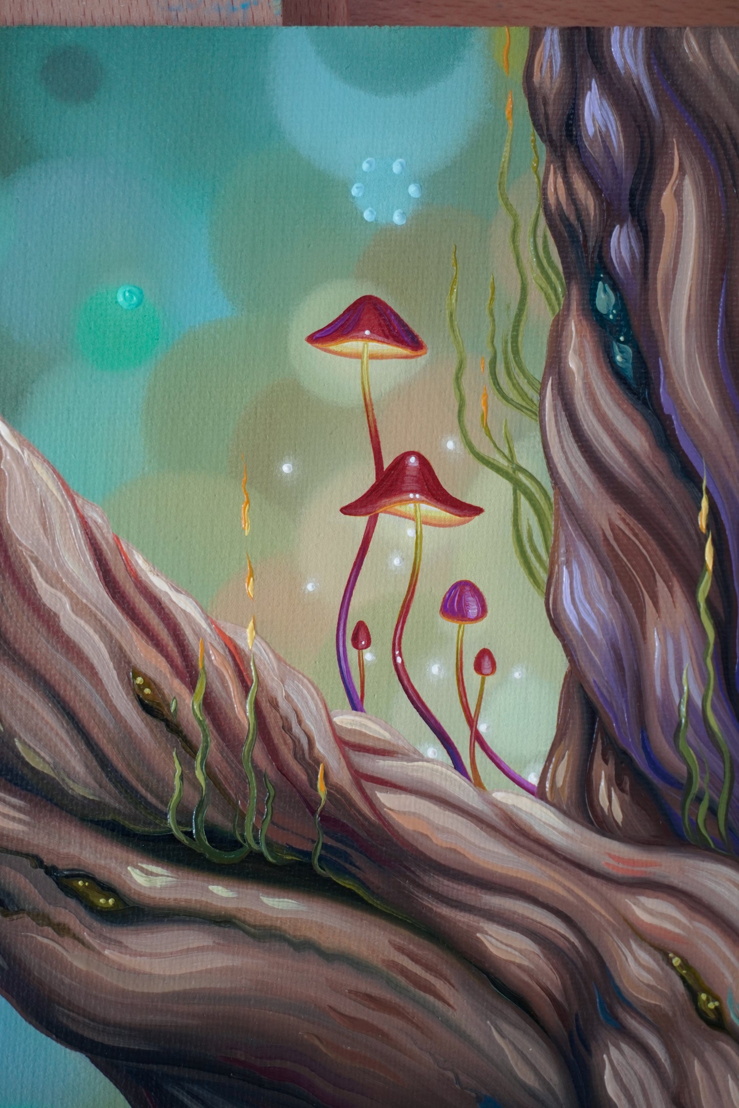 Light in the Hollow