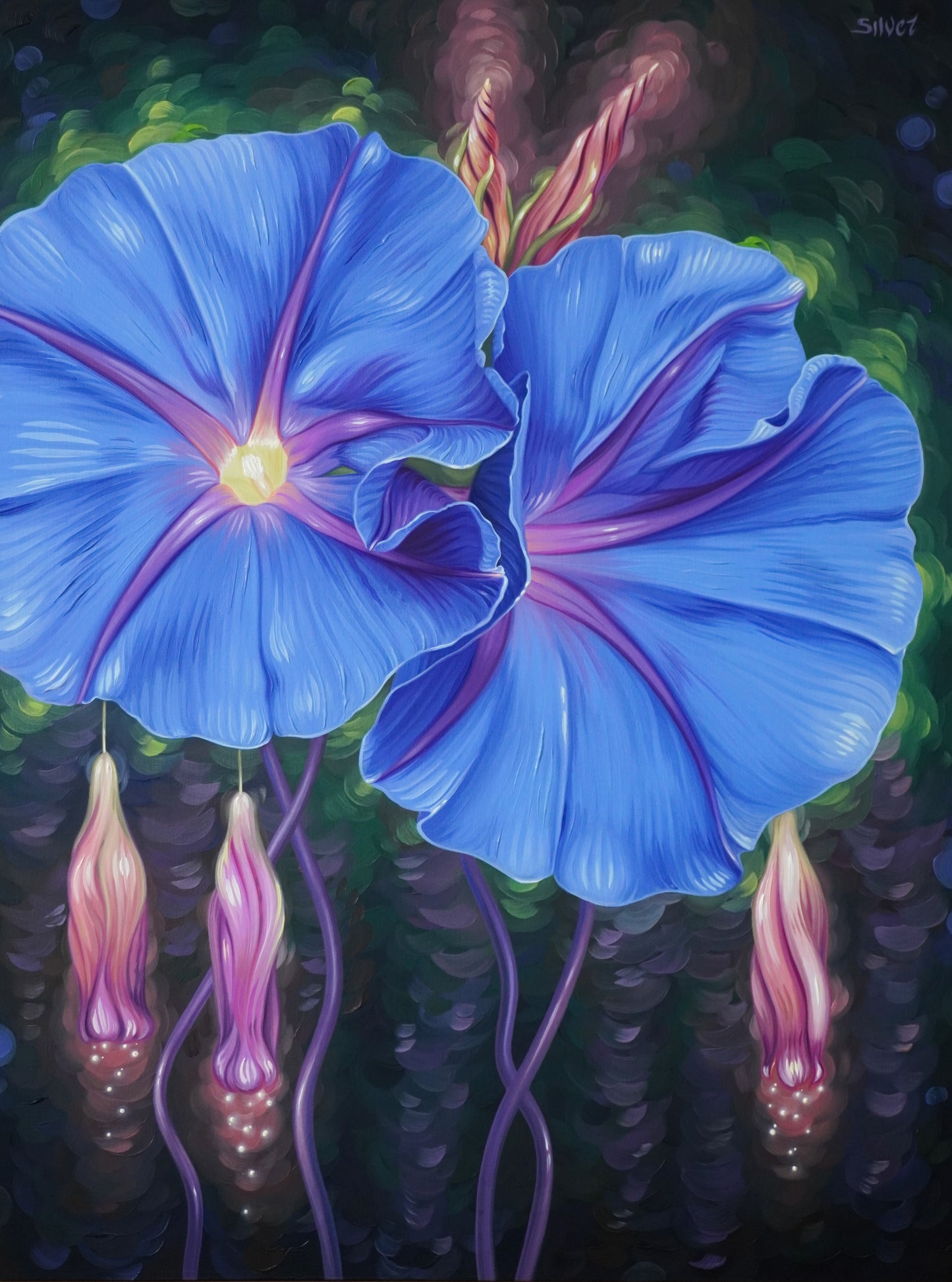 Blue Morning Glory