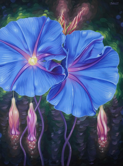 Blue Morning Glory