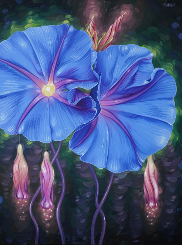 Blue Morning Glory