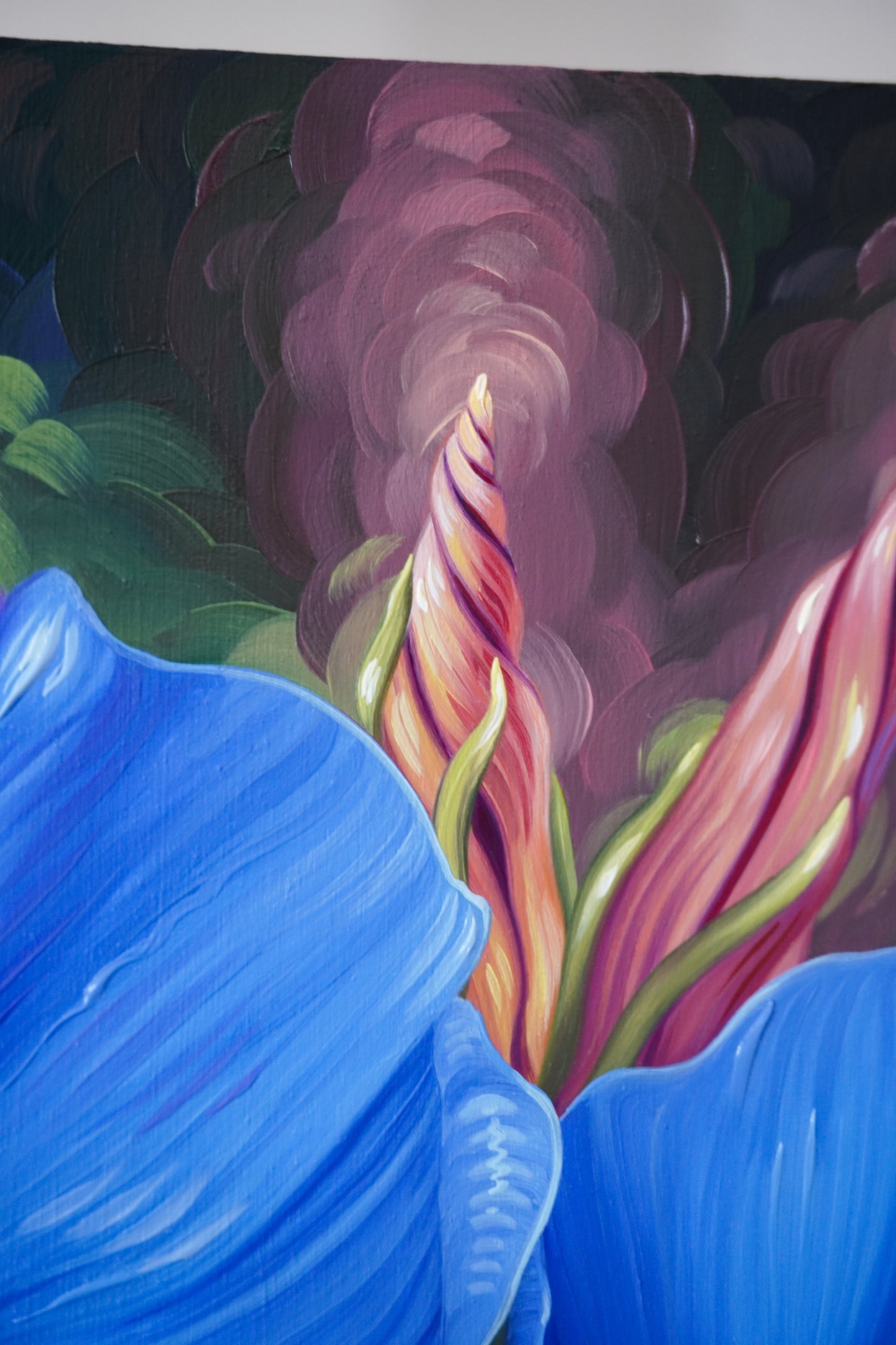 Blue Morning Glory