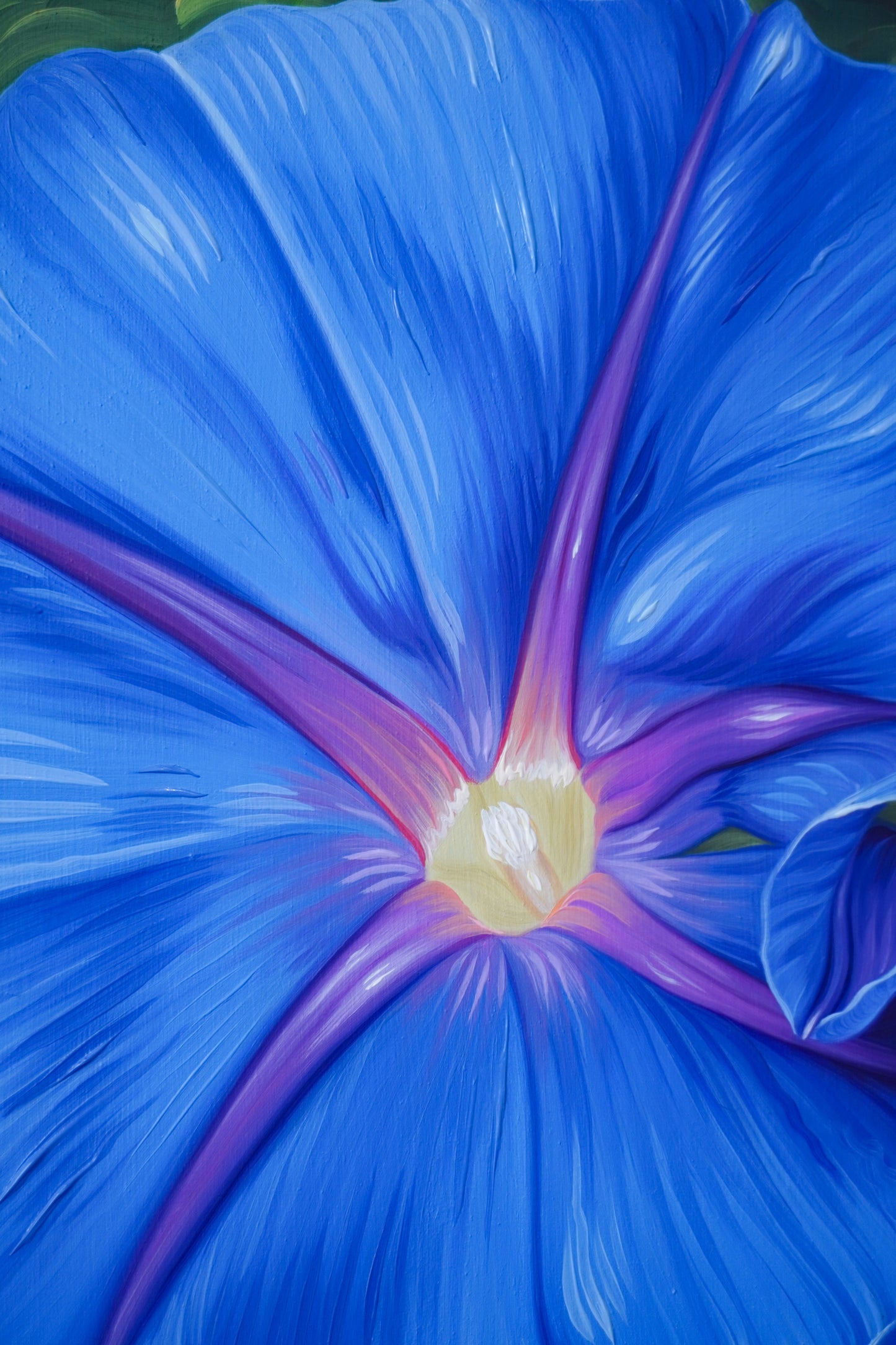 Blue Morning Glory