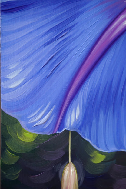 Blue Morning Glory