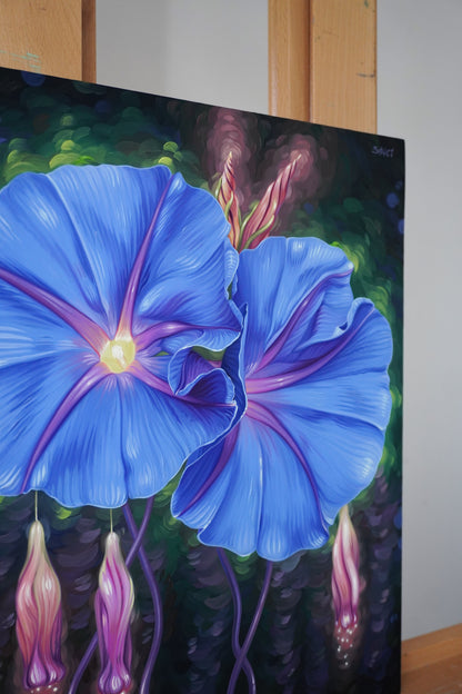 Blue Morning Glory