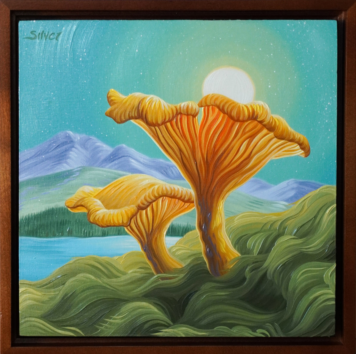 Sunny Chanterelles