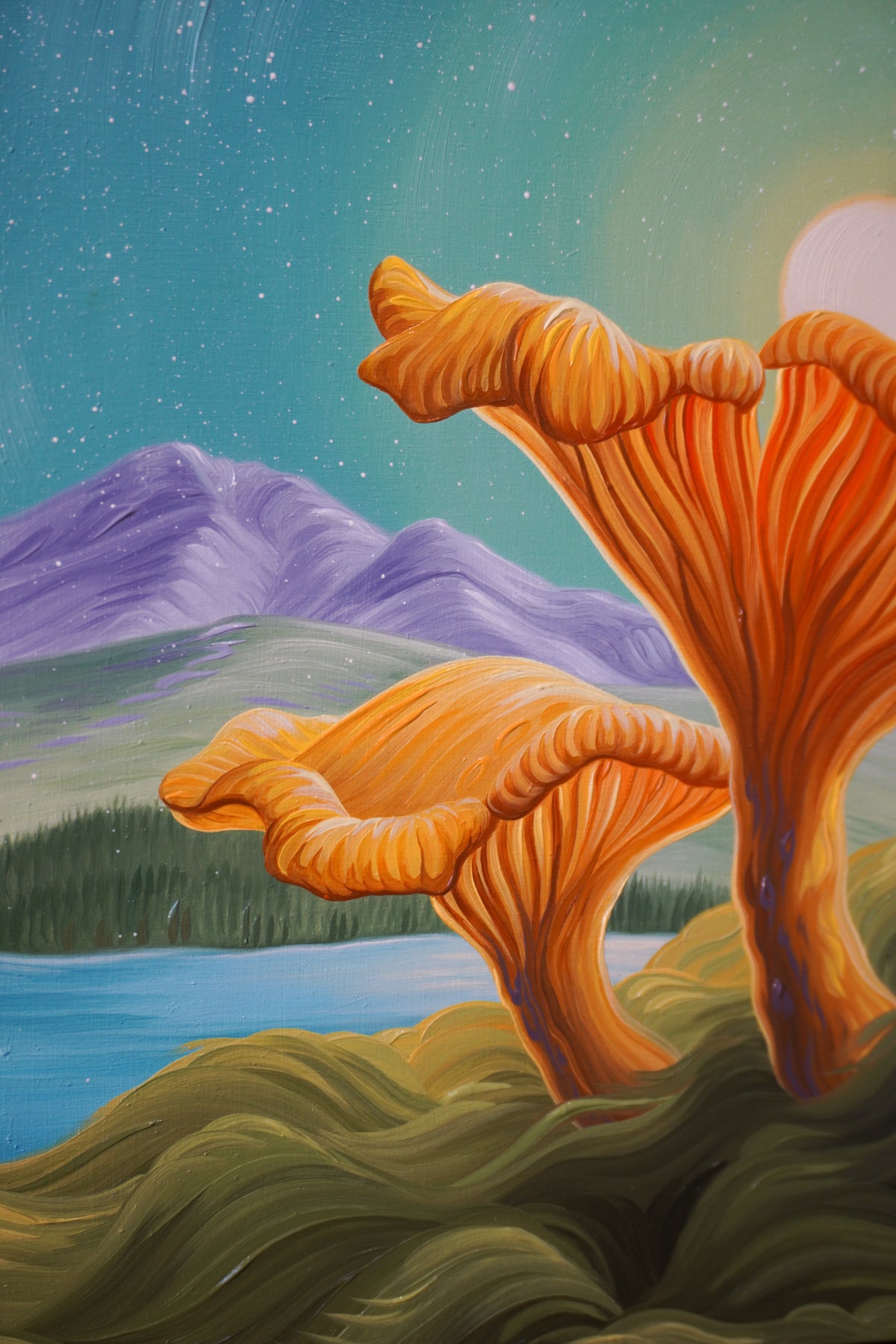 Sunny Chanterelles