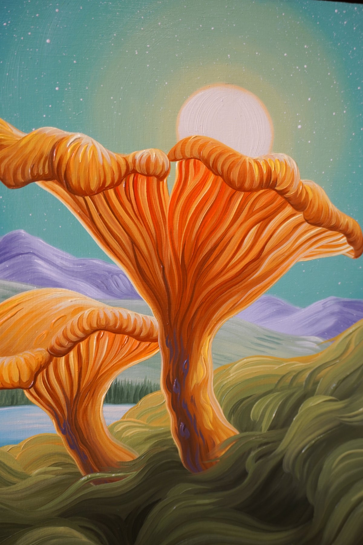 Sunny Chanterelles