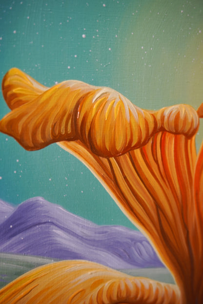 Sunny Chanterelles